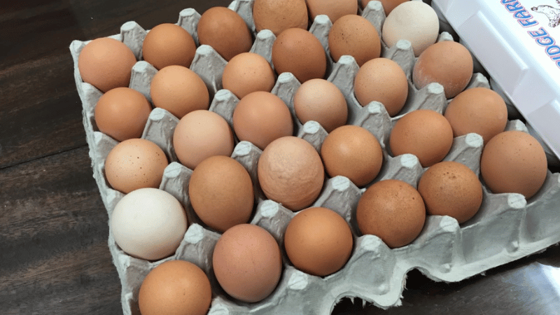 Escasez y alza de precios: el huevo se convierte en un lujo en Nueva York