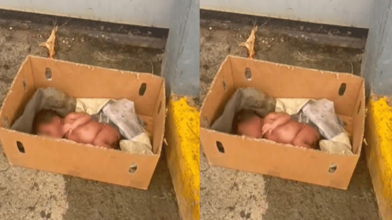 Recién Nacida es Hallada Desnuda en una Caja de Cartón en San Antonio de Guerra