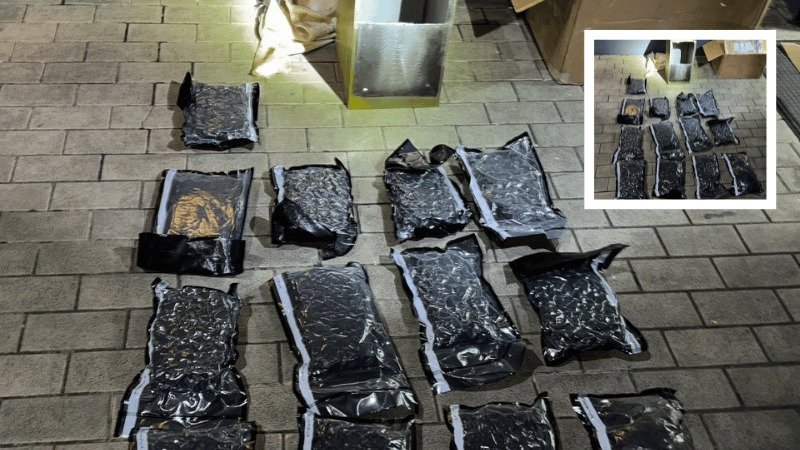 DNCD y CESAC Incautan 13 Paquetes de Marihuana en el Aeropuerto de Las Américas