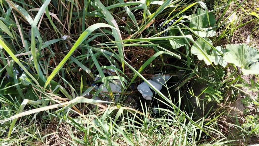 Padres piden intervención del gobierno ante desagüe abierto frente a escuela Matos Sena