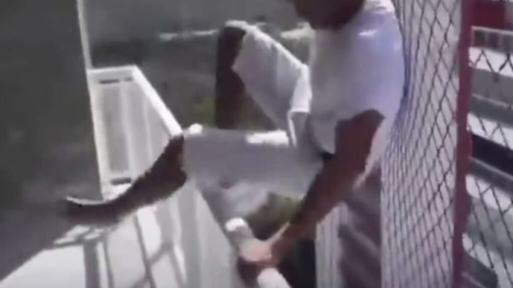Video: Trabajador se lanza desde un piso 18 en Brasil para probar red de seguridad y el video se vuelve viral