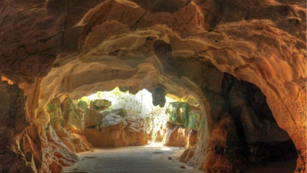 Pequenos Mineros denuncian deforestación en Cuevas del Pomier pese a prohibición de minería